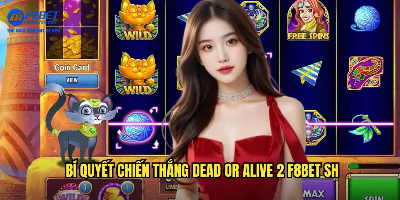 Bí quyết chiến thắng Dead or Alive 2 f8bet sh