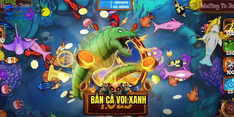 bắn cá voi xanh
