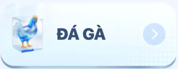 đá gà f8bet sh